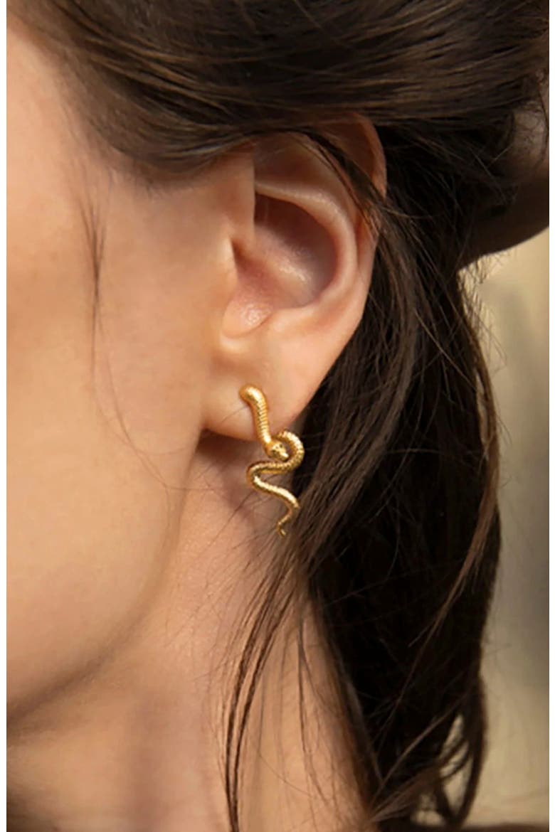 Mystic Serpent Stud Earrings, Alternate, color, GOLD VERMEIL