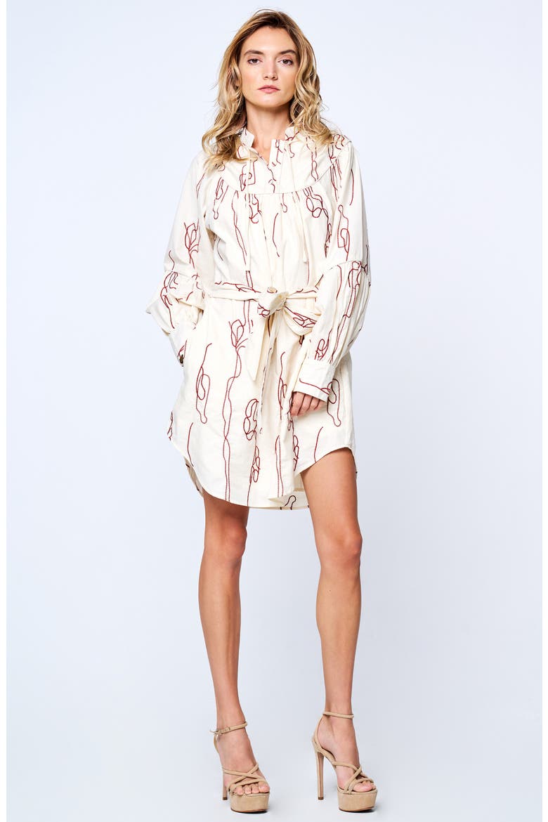 Amelie Embroidered Long Sleeve Shirtdress, Alternate, color, RUST MULTI