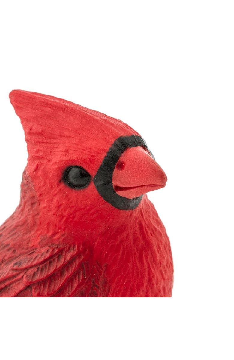 Safari Ltd. Cardinal Toy, Alternate, color, NO COLOR