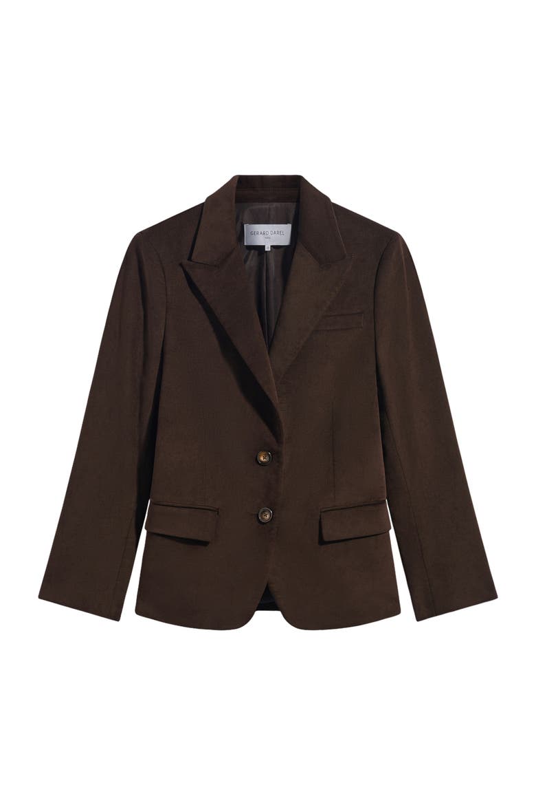 Jem Velvet Jacket, Alternate, color, Cinnamon