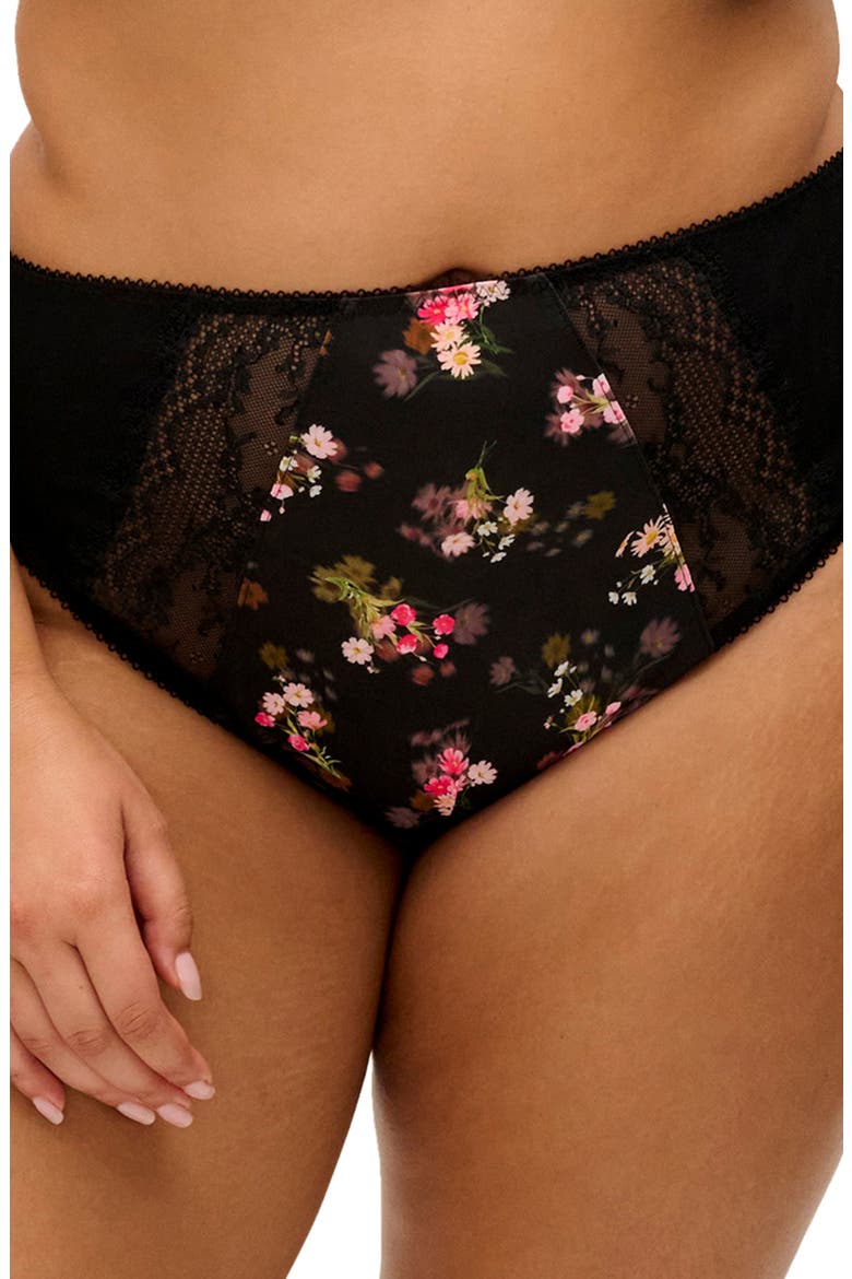 Lucie High Leg Briefs video