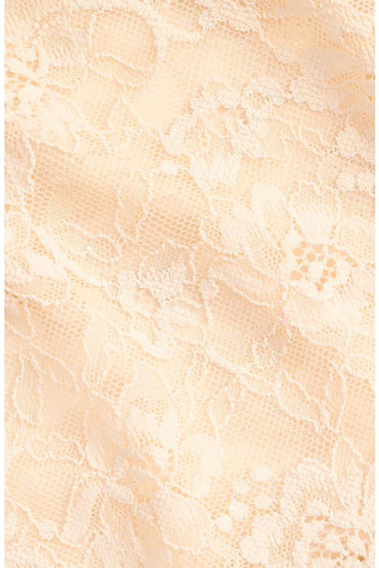 High Leg Lace Briefs, Alternate, color, LIGHT TRUFFLE