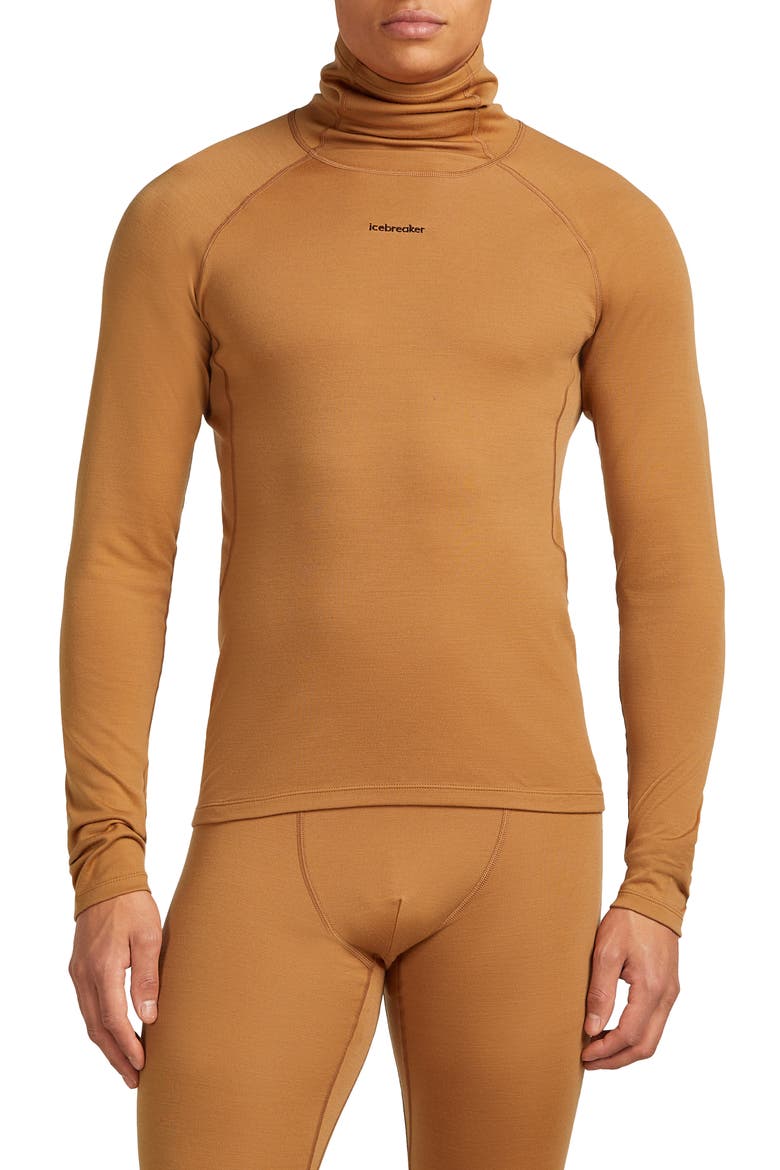 300 Polar MerinoFine Turtleneck Top, Main, color, TRAIL