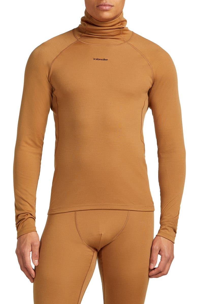 Icebreaker 300 Polar MerinoFine Turtleneck Top, Main, color, Trail