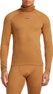 Icebreaker 300 Polar MerinoFine Turtleneck Top