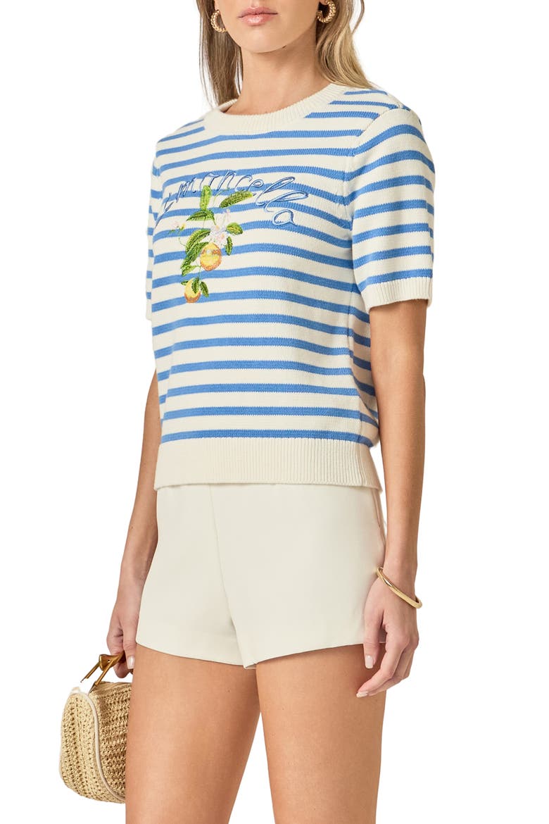 Lemoncello Stripe Short Sleeve Cotton Sweater, Alternate, color, WHITE/ BLUE
