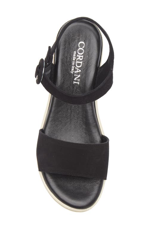 Cordani Arielle Ankle Strap Platform Wedge Sandal In Black Suede