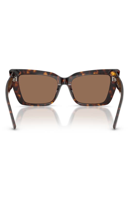 Jimmy Choo 54mm Butterfly Sunglasses In Havana/dark Brown