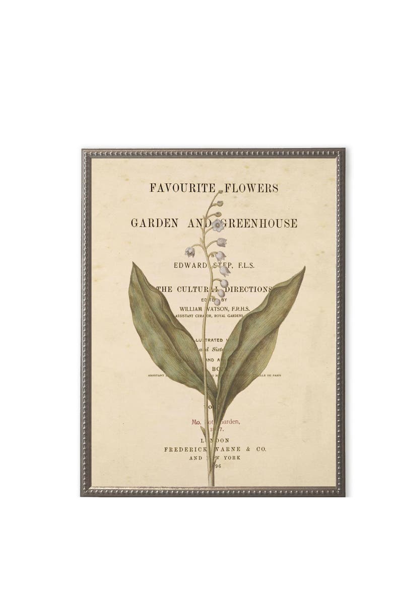 Antique Curiosities White Flowers on Book Page in Silver-Beaded Frame, Main, color, Multi