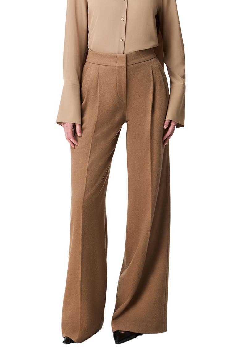 Pleated Trouser, Main, color, Camel