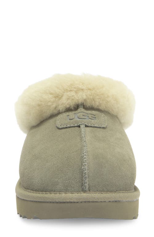 Ugg(r) Tazzette Genuine Shearling Collar Slipper