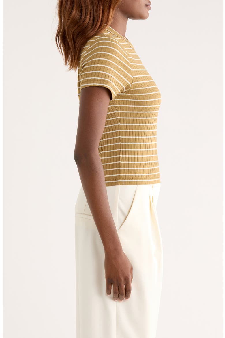 Luca Stripe Rib Baby T-Shirt, Alternate, color, KHAKI