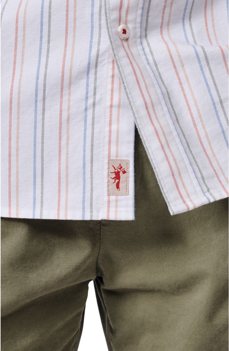 Aubin Aldridge Oxford Button Down Shirt, Alternate, color, Multi Colourful Stripe