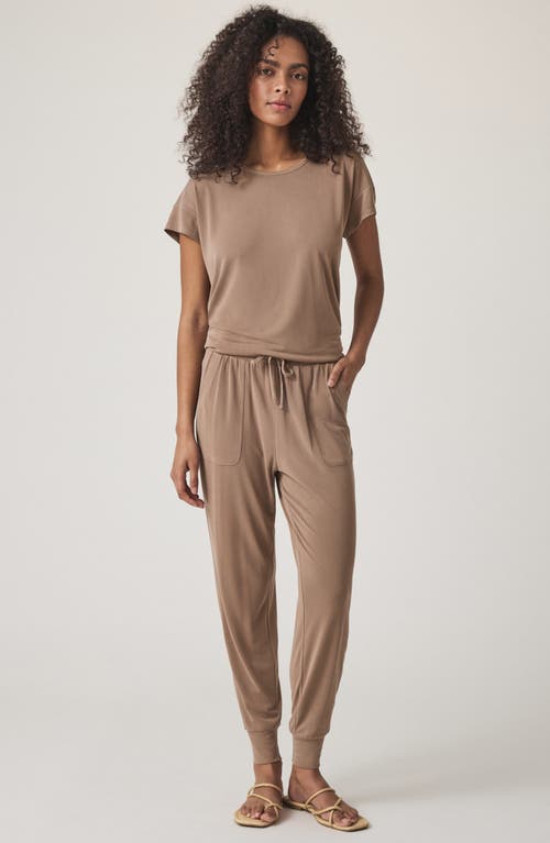 Splendid Giada Sandwash T-shirt In Brown