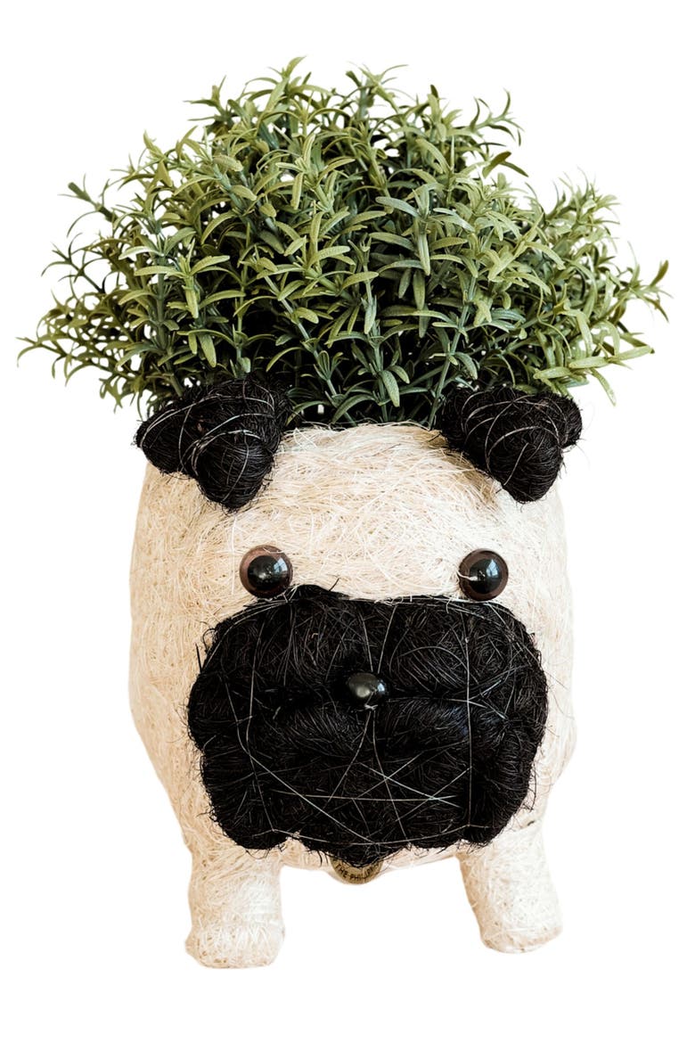 Pug Handwoven Planter, Alternate, color, OFF WHITE / BLACK