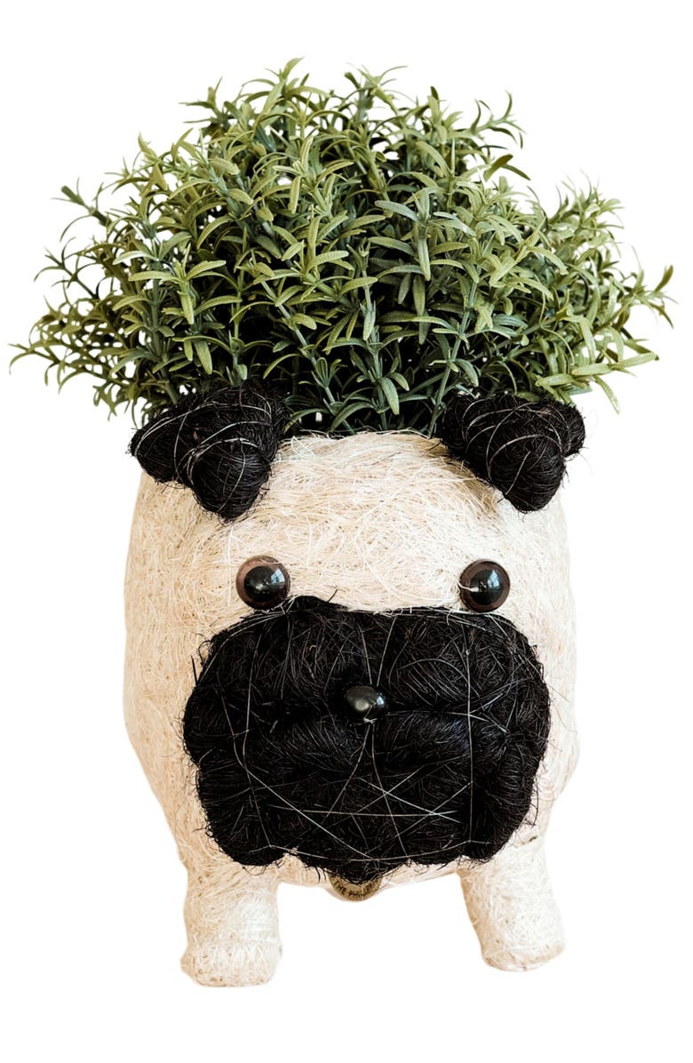 LIKHA Pug Handwoven Planter, Alternate, color, Off White / Black