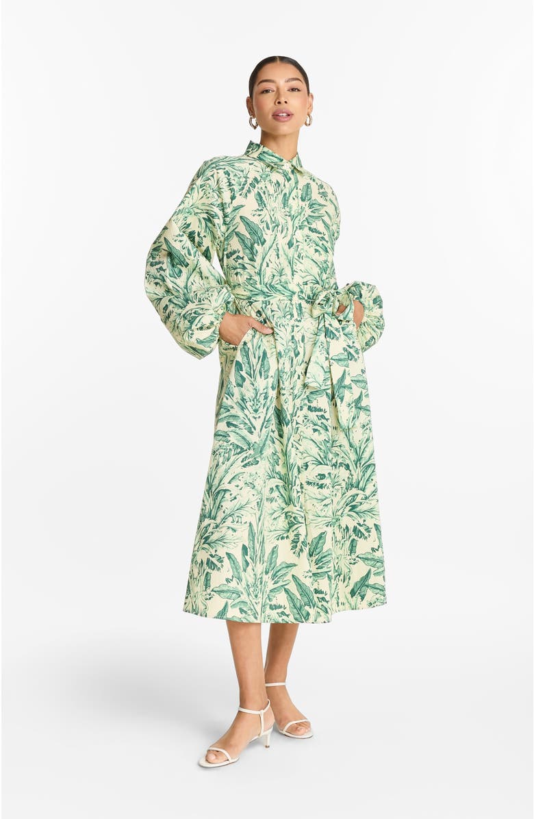 DIARRABLU Printed Cotton Poplin Naja Midi Dress Toile Olive, Main, color, Toile Olive