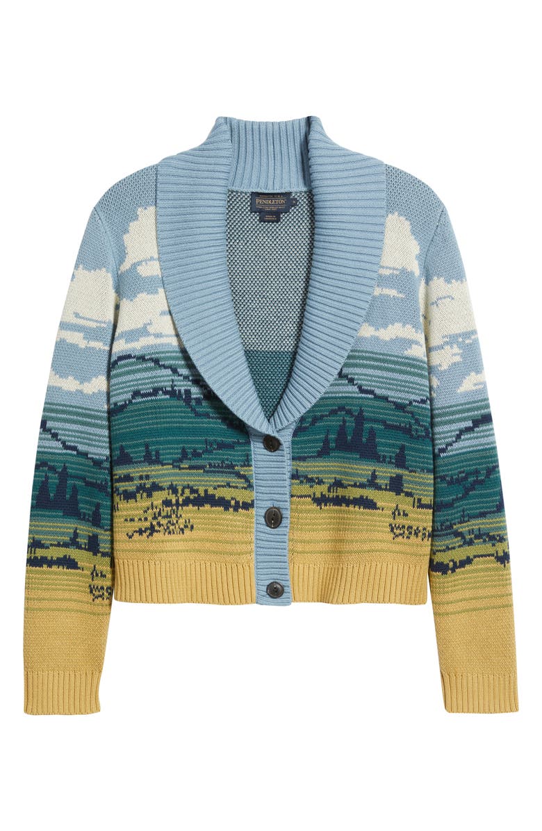 Pendleton Big Sky Cardigan, Main, color, 