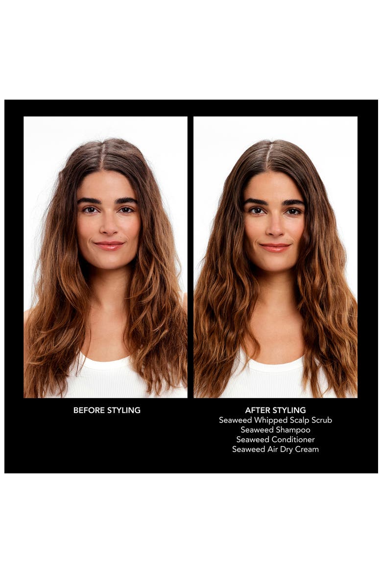 Seaweed Shampoo, Alternate, color, NO COLOR