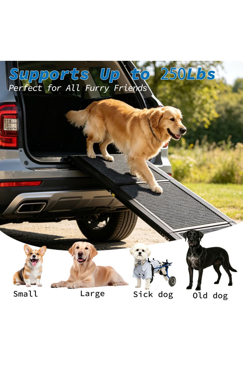63 x 17 in Foldable Non-Slip Felt Dog Ramp, Alternate, color, Black