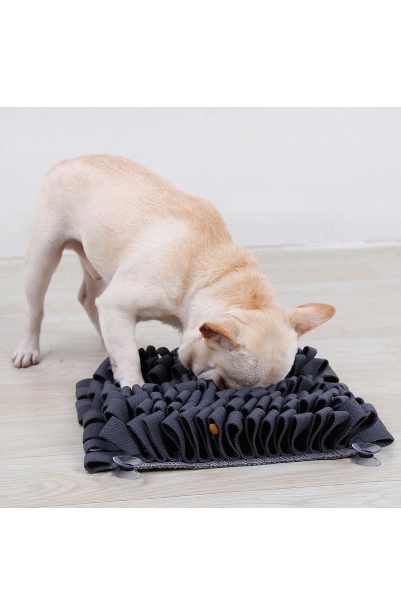 PET LIFE 'Sniffer Grip' Interactive Anti-Skid Pet Snuffle Mat, Alternate, color, 