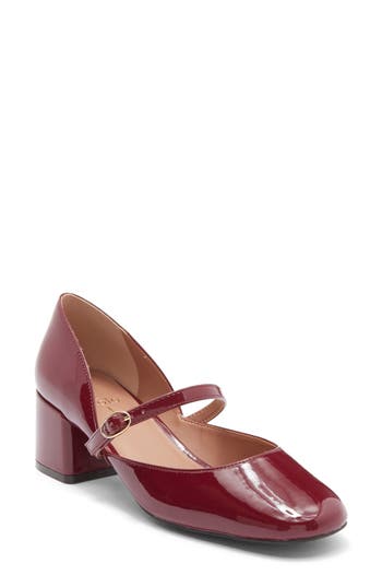 Linea Paolo Maven Mary Jane Pump In Burgundy