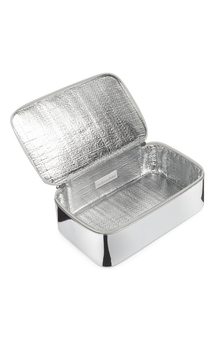 WELLinsulated Performance Travel Case, Main, color, Silver
