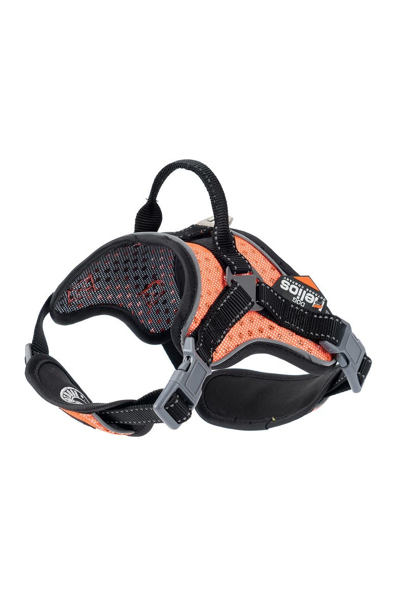 Dog Helios 'Scorpion' Sporty High-Performance Free-Range Dog Harness - Small, Main, color, ORANGE