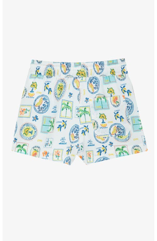 Gottex Kids Capri Vibes Boys Swim Shorts In Multi