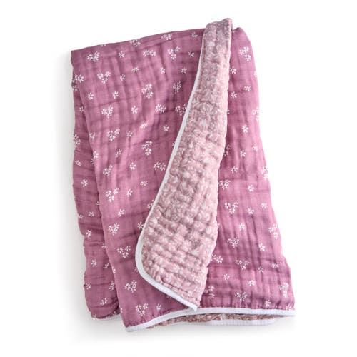 Aden + Anais Organic Dream Blanket In Pink