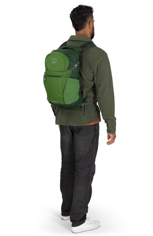 Osprey Daylite Plus Backpack In Green Belt/green Canopy