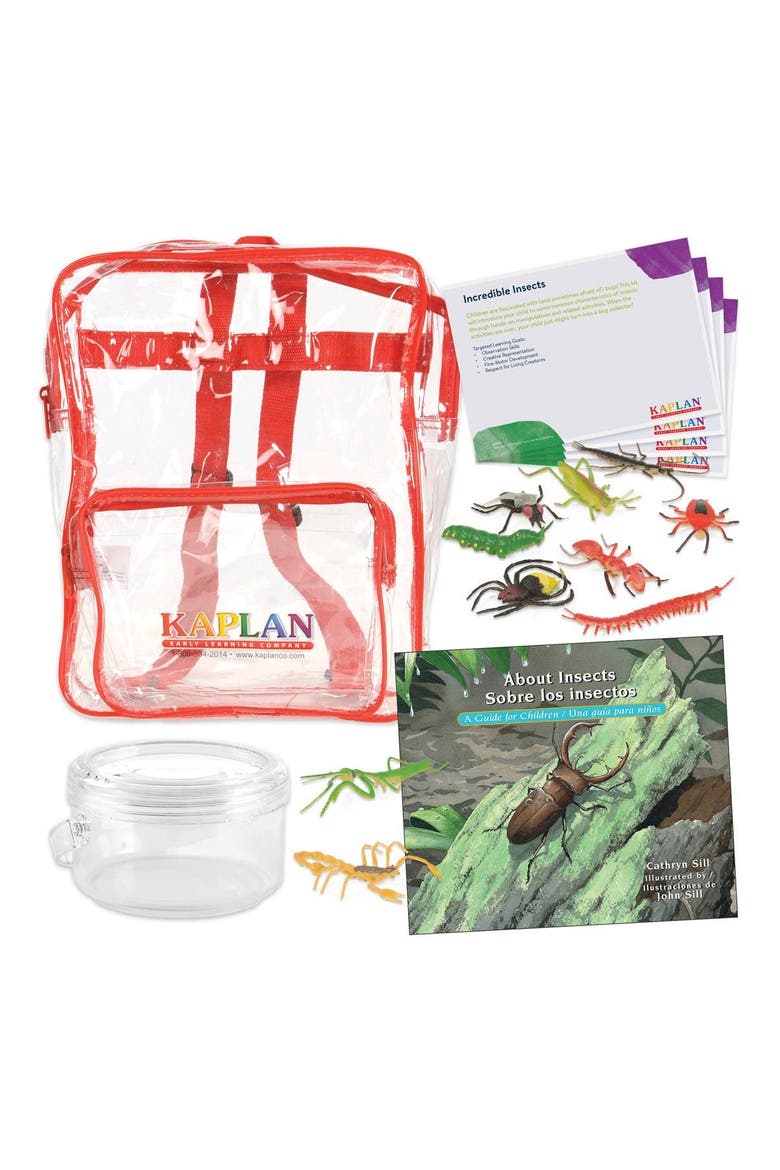Back to Back Learning Kit - Incredible Insects, Main, color, Multicolor