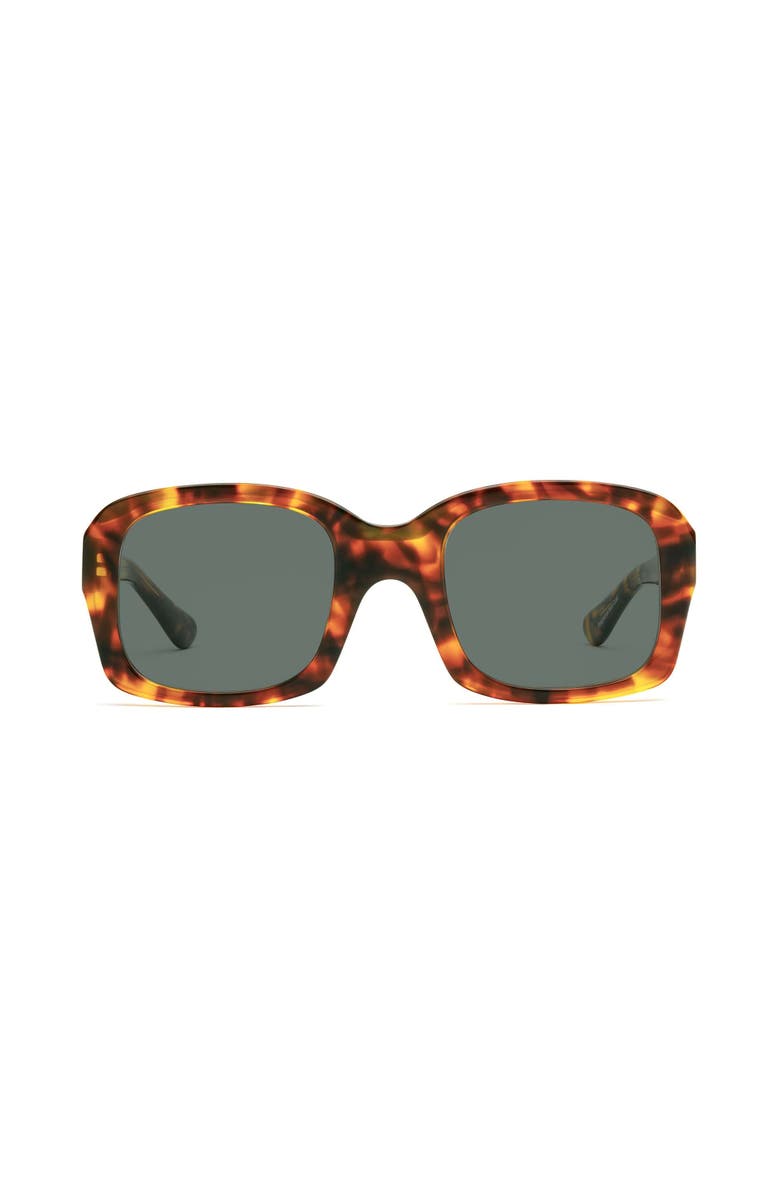 Caddis Shelby | Polarized Sunglasses, Alternate, color, Terrapin