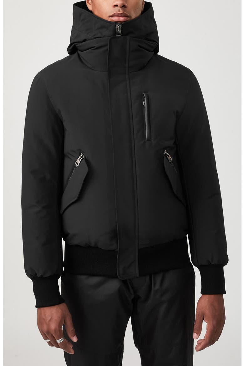 Dixon Down Jacket, Alternate, color, BLACK