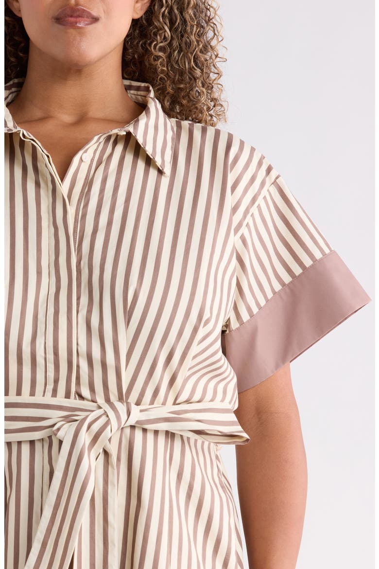 Stripe Midi Shirtdress, Alternate, color, BROWN-CREAM