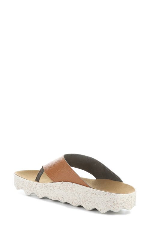 Asportuguesas By Fly London Cami Platform Flip Flop In Tan Eco Faux Leather