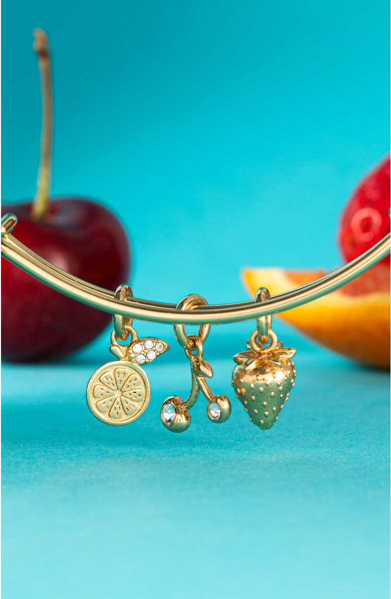 Alex and Ani Summer Fruits Charm Bangle, Alternate, color, Gold