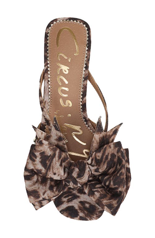 Circus Ny By Sam Edelman Natalina Sandal In Brown