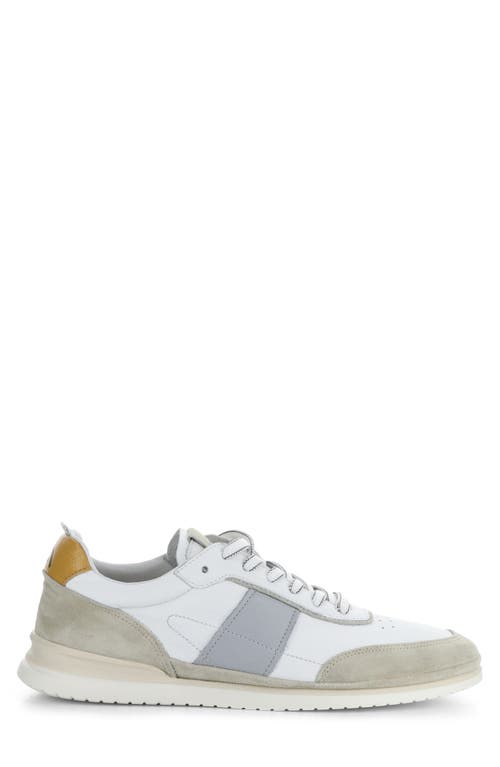 AMBITIOUS AMBITIOUS 11939 LOW TOP SNEAKER