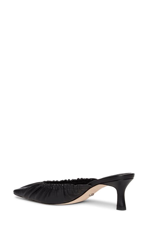 Paige Alice Mule