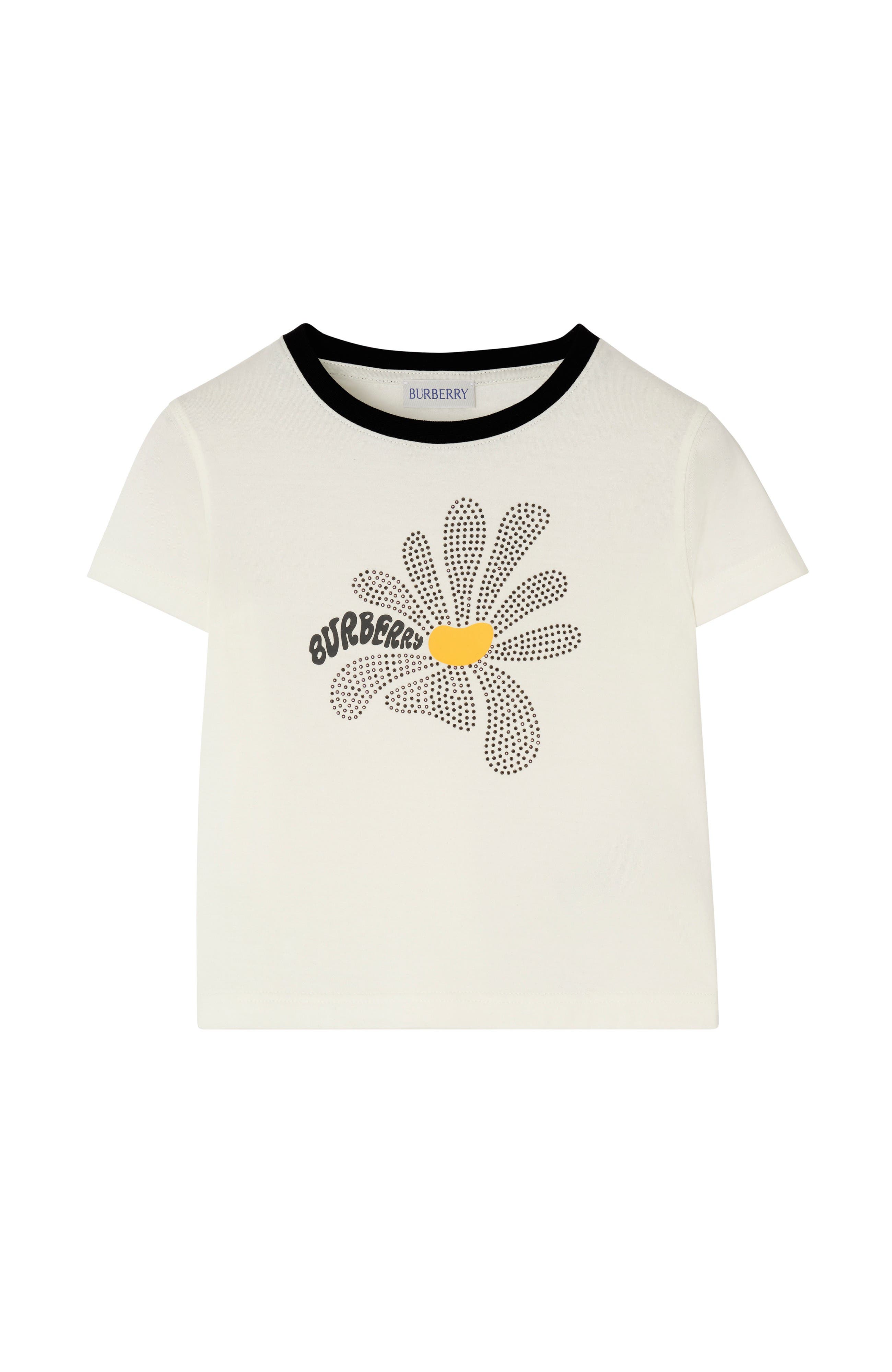 selected Chalk white