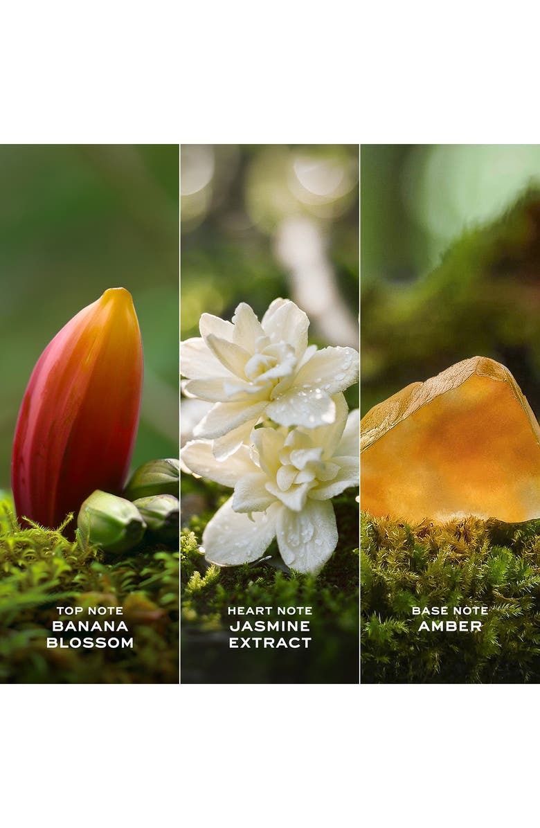 Marc Jacobs Daisy Wild Eau So Intense Eau de Parfum, Alternate, color, 