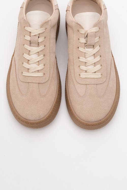Forever & Always Shoes Fyore Leather Sneakers In Beige Suede Leather