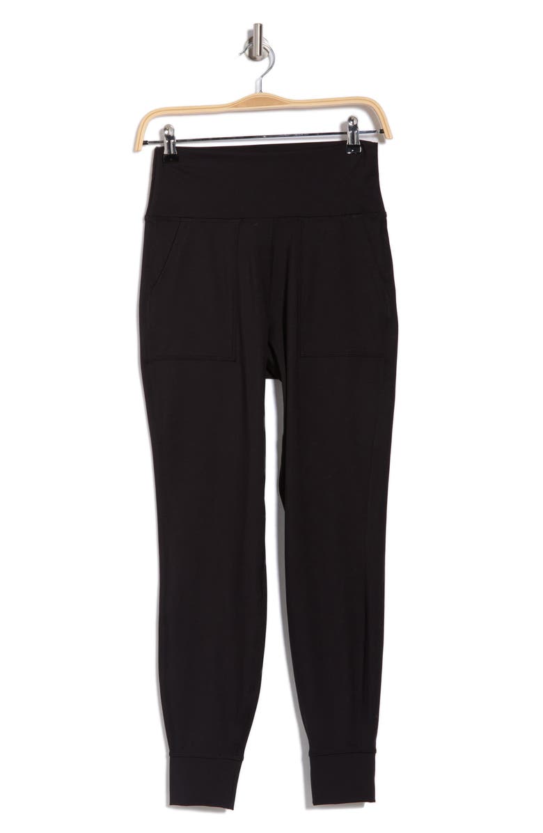 DKNY Balance Compression Utility Joggers, Alternate, color,