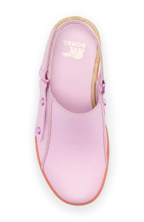 Sorel Roam'n Rbr Clog In Aura/tuscan