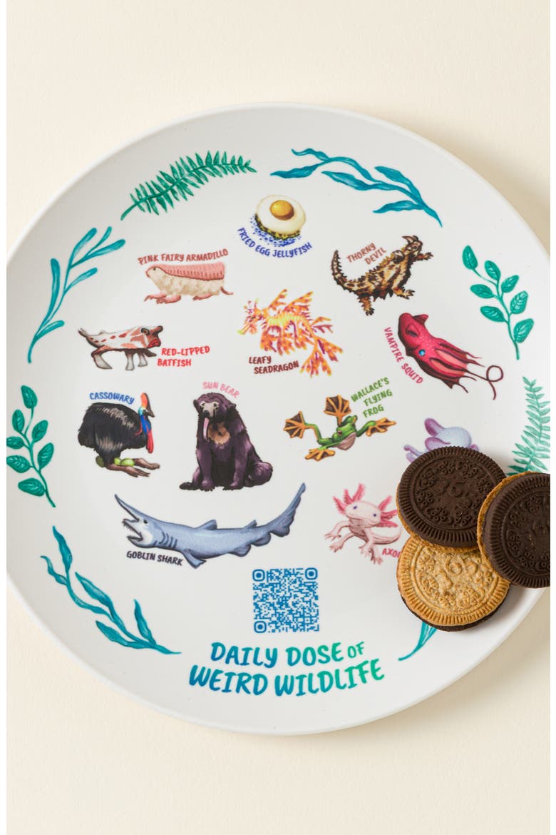 Weird Animal Fact Everyday QR Kids Plate, Alternate, color, Multi