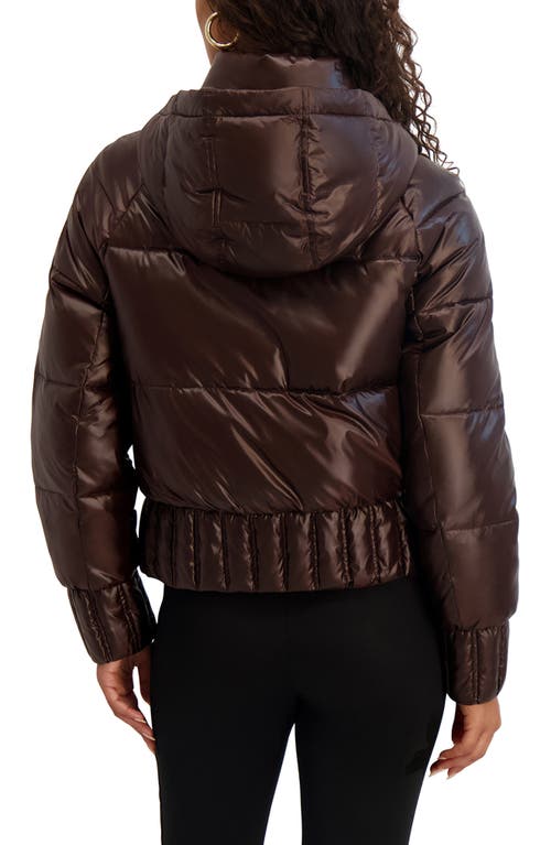 Karl Lagerfeld Paris Crop Puffer Bomber Jacket In Brown