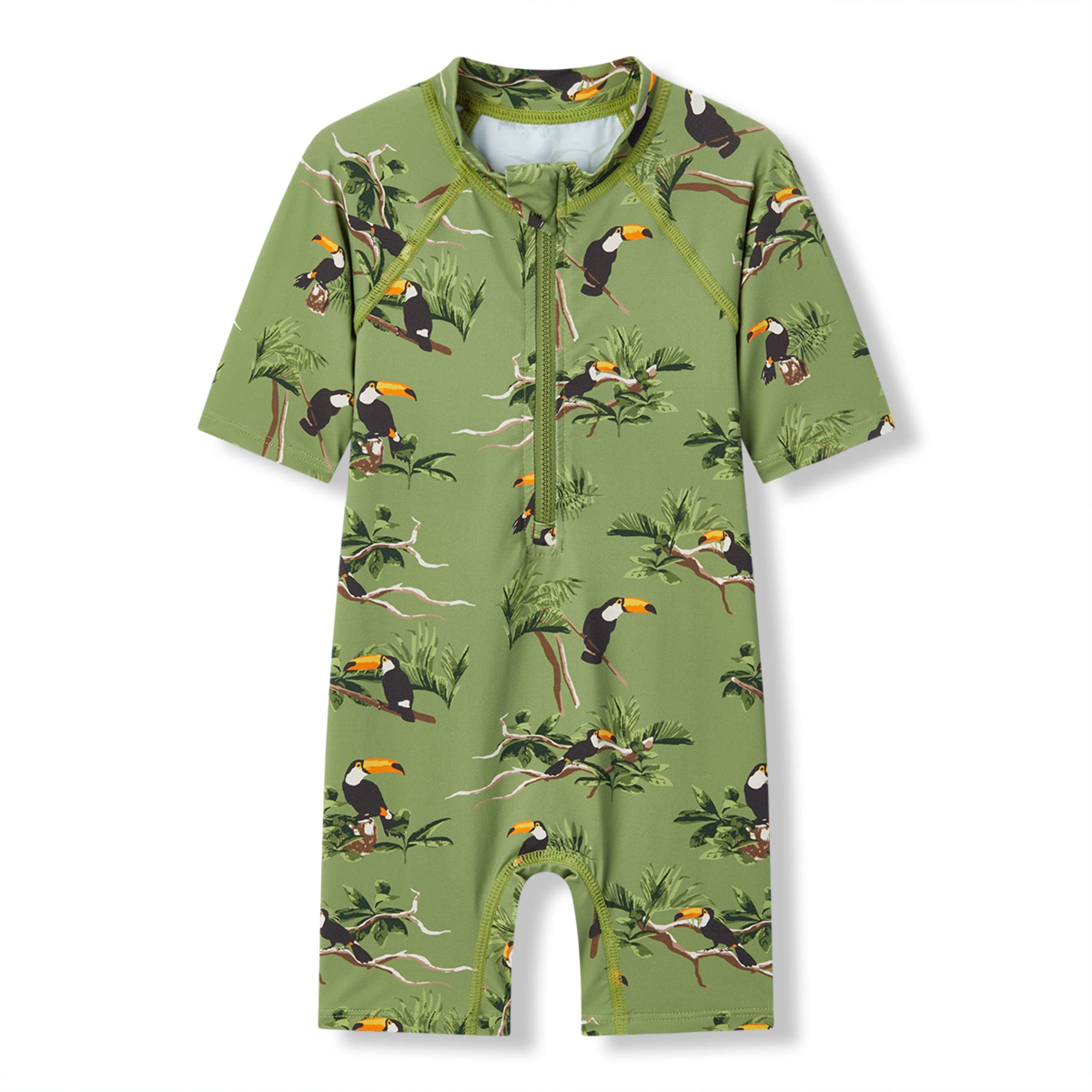 Toucan