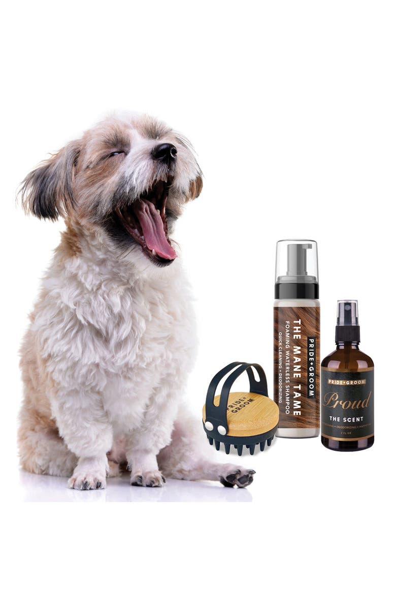 PRIDE+GROOM The Tool Kit | Complete Waterless Dog Grooming Set. Includes Foaming Shampoo, Moisturizing Balm & Grooming Brush., Main, color, Black
