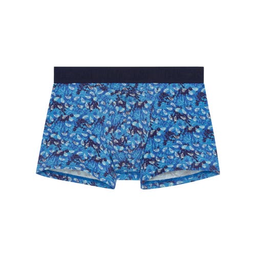 HOM Vibe Boxer Briefs Ho1 in Blue Print 